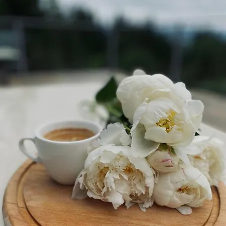 ホック ランド *